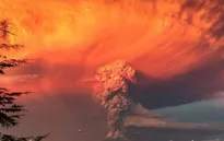Chile ban bố tình trạng khẩn cấp do núi lửa Calbuco hoạt động
