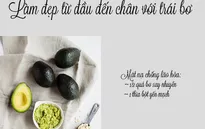 Làm đẹp từ đầu đến chân với trái bơ