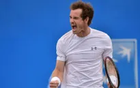 Murray quyết "giải bài toán" Novak Djokovic ở Wimbledon 2015