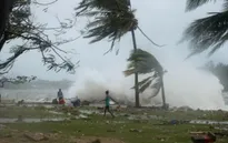 Nửa dân số Vanuatu bị ảnh hưởng bởi bão Pam