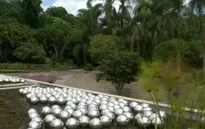 Bảo tàng thiên nhiên ngoài trời lớn nhất thế giới mở cửa đón khách
