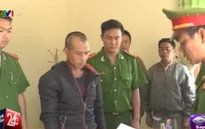 Bắt tạm giam đối tượng phá rừng thông ở Lâm Đồng