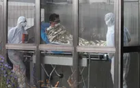 Phát hiện ca nghi nhiễm MERS-CoV đầu tiên tại châu Âu?