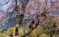 Những điều cần biết cho người dự định du lịch Bhutan