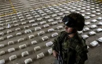 Colombia tịch thu nửa tấn cocaine trị giá gần 10 triệu USD