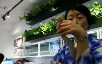 Cà phê… rắn tại Nhật Bản