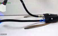 Khám phá bộ đèn chụp ảnh macro siêu linh hoạt Adaptalux
