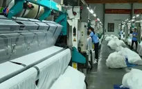 DN bông sợi trong nước trước sức ép của hàng nhập khẩu