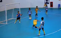 Bóng đá nhi đồng ngày càng phát triển tại Thái Bình