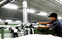 Ngành dệt may nhập khẩu bông tăng đột biến