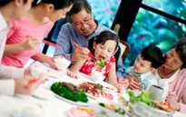 Bữa cơm gia đình - Sự bền vững từ gốc rễ