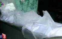 Ấn Độ cấm buôn bán và sử dụng túi nilon số lượng lớn tại Uttar Pradesh