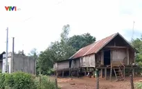Đăk Lăk: Phát huy vai trò đảng viên vùng đồng bào dân tộc