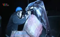 Triệt phá gần 30 vụ buôn lậu tại 6 tỉnh biên giới Tây Nam