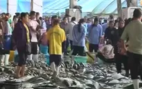Thái Lan đối mặt với áp lực phải cải tổ ngành thủy sản