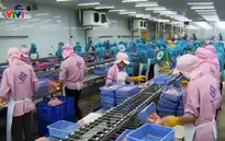 Lùi thời gian thực hiện quy định mới về xuất khẩu cá tra