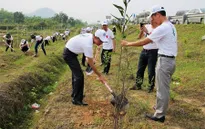 Ra quân chiến dịch phủ xanh các tuyến cao tốc