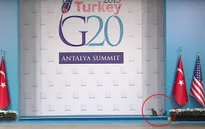 Mèo 'tham gia' cuộc họp Thượng đỉnh G20 tại Thổ Nhĩ Kỳ