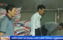 TT-Huế: Tăng cường kiểm soát chất cấm trong chăn nuôi