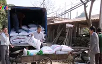 Liên kết sản xuất - Mô hình phát triển ngành chăn nuôi