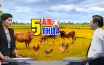 Thịt lợn và thịt bò yếu thế nhất khi Việt Nam tham gia TPP