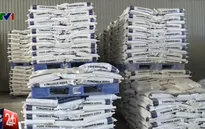 Phát hiện cơ sở sản xuất thức ăn chăn nuôi nghi chứa chất cấm