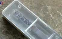 Thương lái chủ động ngăn ngừa chất cấm trong chăn nuôi