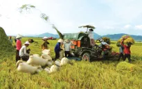 Chính sách tín dụng mới cho nông nghiệp