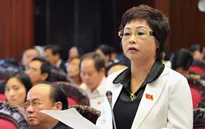Hà Nội tạm đình chỉ nhiệm vụ đại biểu HĐND Châu Thị Thu Nga
