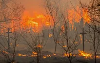 Nga: Cháy rừng kinh hoàng ở Siberia, thiêu rụi 1.000 ngôi nhà