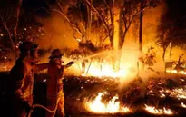 Cháy rừng tại Australia: Hàng nghìn người phải sơ tán