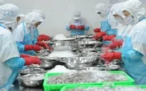Hoa Kỳ là đối tác lớn nhất của Việt Nam trong 6 tháng đầu năm