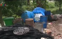 Giải pháp xử lý nhiễm độc chì tại Hưng Yên