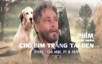 Phim cuối tuần "Chó Bim trắng tai đen" (21h40, 21/6 & 28/6, VTV1)