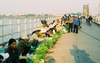 Hà Nội kiên quyết dẹp chợ cóc, chợ tạm