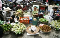 Chợ cóc: Dẹp chỗ này, phát sinh chỗ khác