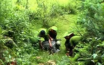 Khốc liệt cuộc chiến chống tội phạm ma túy