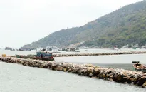 Chủ động ứng phó với thiên tai để giảm thiểu thiệt hại