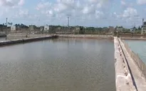 Thái Bình: Tình trạng bảo kê thu mua tôm nở rộ