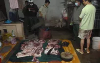 TP.HCM: Cơ sở giết mổ trái phép chống người thi hành công vụ