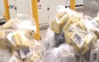 Bỉ: Phát hiện 1 tấn cocaine trôi trên biển