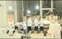 Doanh nghiệp ĐBSCL đổi mới công nghệ hướng đến xuất khẩu