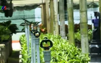 TP.HCM: Sức lan tỏa từ mô hình nông nghiệp công nghệ cao