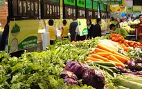 Xăng dầu kéo CPI Hà Nội tiếp tục giảm
