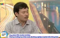 Sử dụng chất tạo nạc trong chăn nuôi đang ở mức báo động