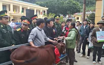 Chủ tịch nước dự lễ trao tặng bò giống cho đồng bào nghèo biên giới
