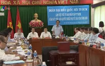 Chủ tịch nước và các đại biểu Quốc hội TP.HCM làm việc với UBND TP