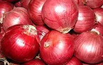 Bài thuốc điều trị cảm mạo ở trẻ em