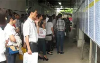17,4% người thất nghiệp có trình độ đại học