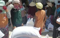 Đưa gạo cứu đói tới vùng hạn Ninh Thuận